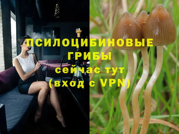 соль курить ск Горно-Алтайск