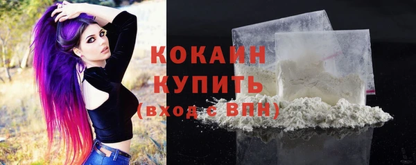 соль курить ск Горно-Алтайск