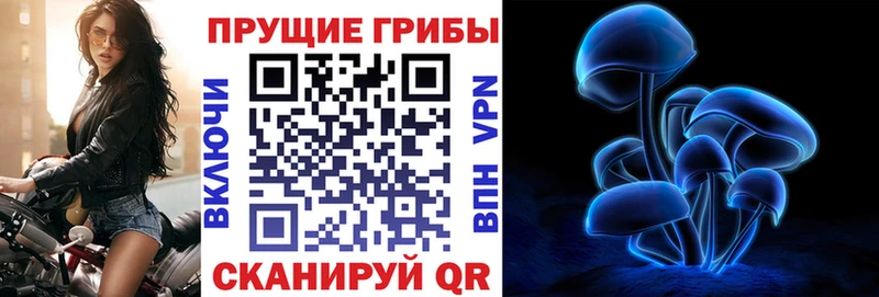 Псилоцибиновые грибы Psilocybine cubensis  OMG маркетплейс  Пролетарск 